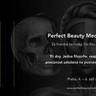 Perfect Beauty Medicine 2026